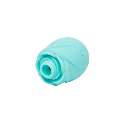 Romp Rose